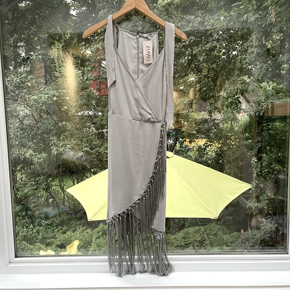 Gray Silver Fringe Dress Naked Zebra - Picture 1 of 4